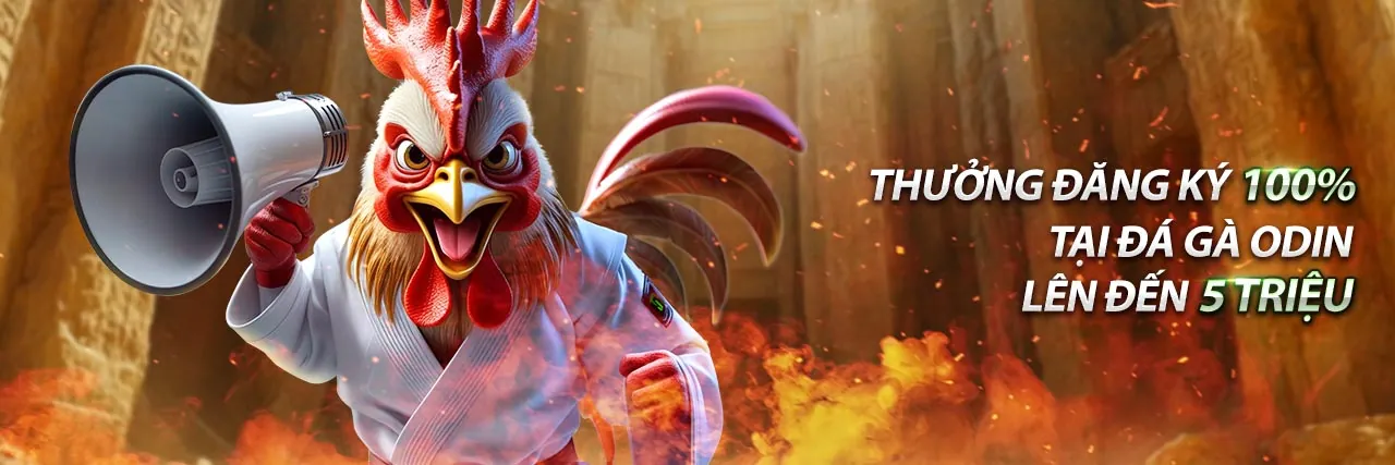 Các lợi ích của việc sử dụng ứng dụng nn88 am